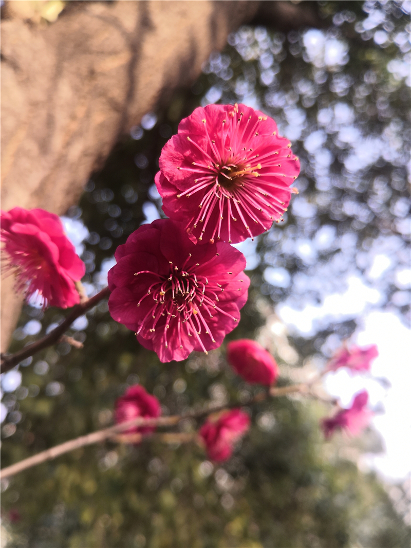 微信圖片_202003050949003.jpg