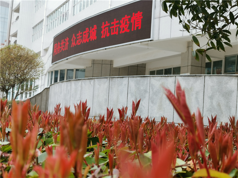 微信圖片_20200309182509.jpg