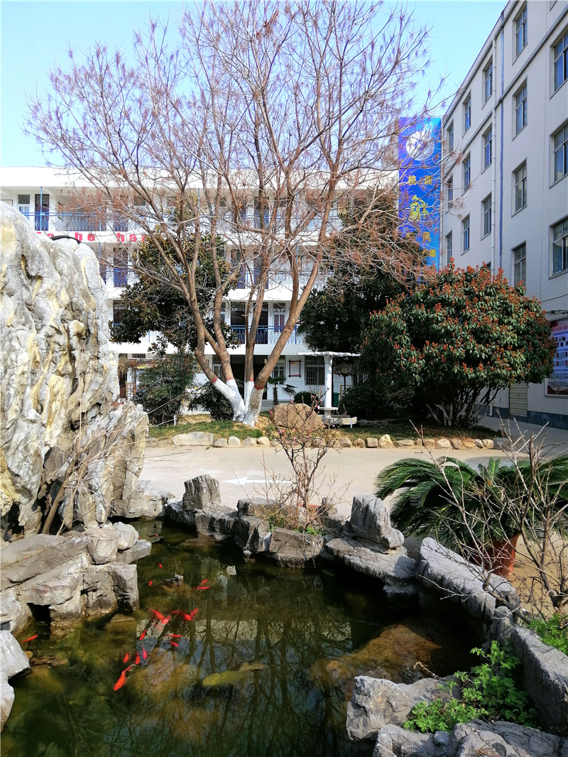 4春水魚游.jpg
