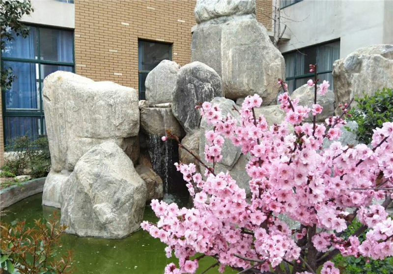 清流花開.jpg