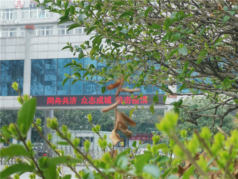 微信圖片_20200309182449.jpg